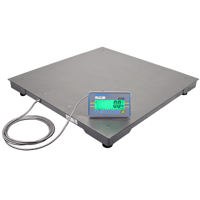 Stainless Steel PT Platform Scale with AE402